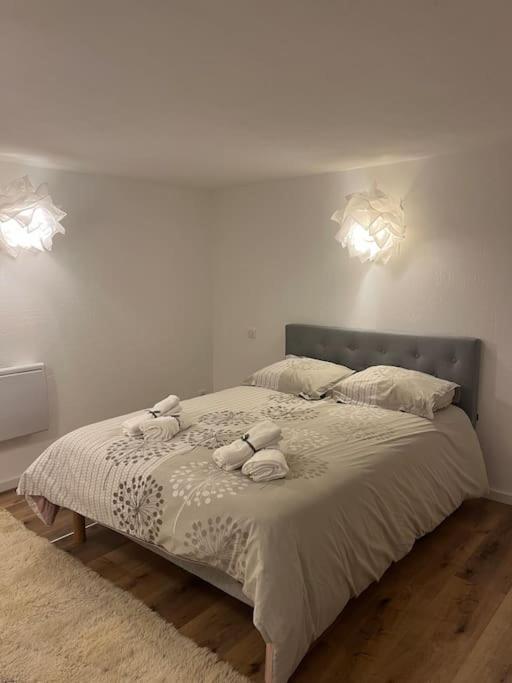 Appartement 2 Pieces Moderne Et Cosy A Straatsburg